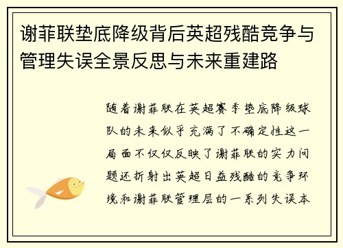 谢菲联垫底降级背后英超残酷竞争与管理失误全景反思与未来重建路